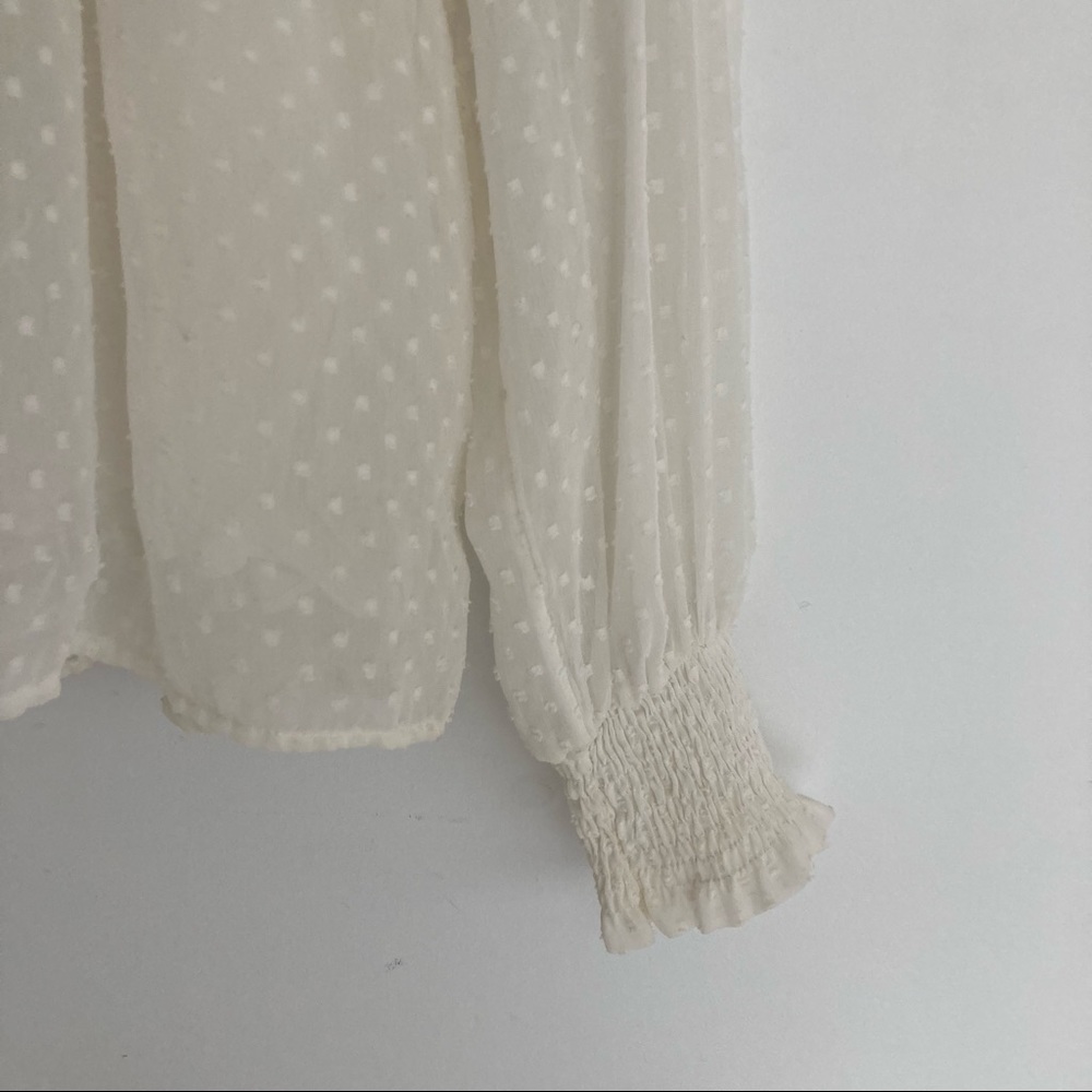 Zara Cream Ruffle Sheer Blouse - Picture 4 of 5